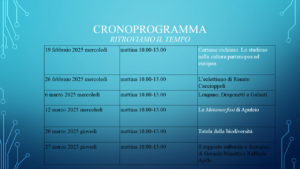 Diapositiva6-2